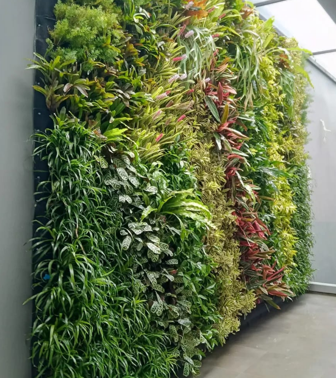 Yuk, Hidupkan Lahan Terbatas dengan Vertical Garden